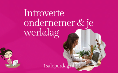 Introverte ondernemer & je werkdag