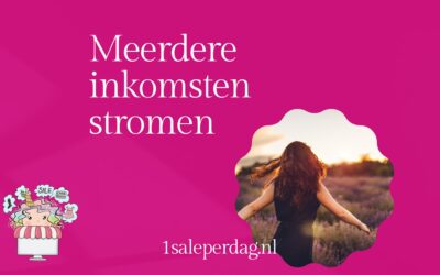 Meerdere inkomsten stromen